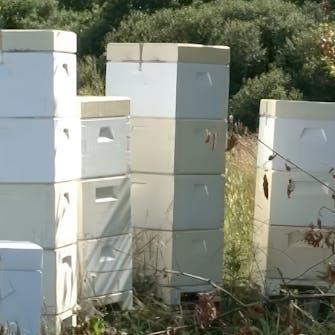 kvashegn stolper kvashegn stolper